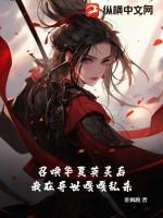 召唤之华夏群雄战异界