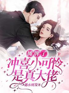 冲喜小妾(完结) 作者心岚