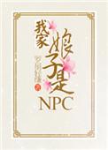 我家娘子是NPC 罗扇轻缣