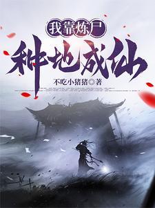 我有一个炼丹炉