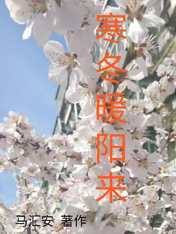 冬日暖阳等