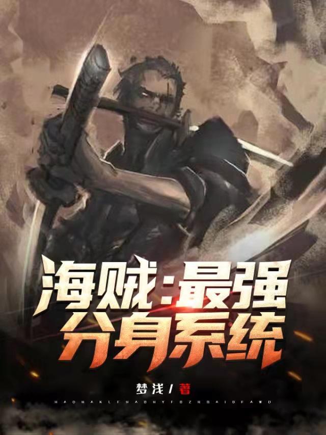 最强海贼王系统