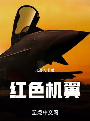 红色机尾的故事原型