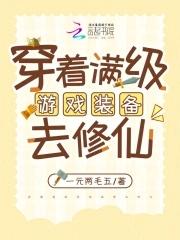 游戏满级穿越的