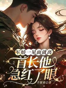 军婚一见钟情的甜宠文