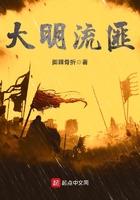 大明流匪怎么样