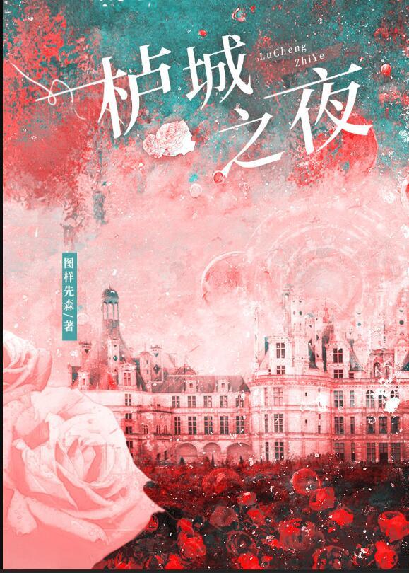 夜之城窑子