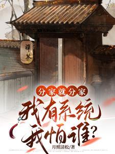 分家以后