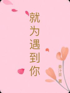 只为遇见你
