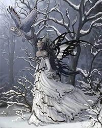 雪莲果