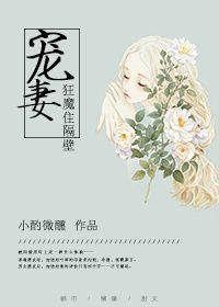 宠妻狂魔gi