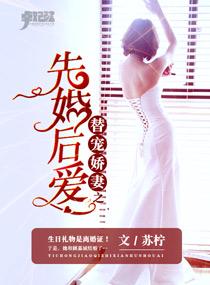 替嫁宠婚